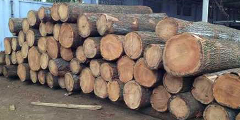 neem wood dealers in bangalore